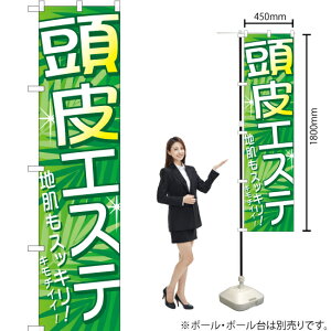 GXe X}[ĝڂ YNS-5228i󒍐YiELZsj