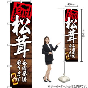  S܂ X}[ĝڂ YNS-6047i󒍐YiELZsj