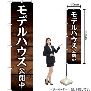 fnEXJ X}[ĝڂ YNS-6153i󒍐YiELZsj