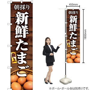 VN܂ X}[ĝڂ YNS-6180i󒍐YiELZsj