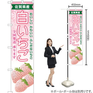 ꌧY X}[ĝڂ YNS-6360i󒍐YiELZsj