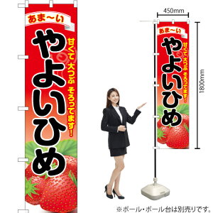 悢Ђ X}[ĝڂ YNS-6384i󒍐YiELZsj