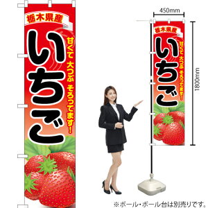 栃木県産いちご スマートのぼり YNS-6395(受注生産品・キャンセル不可)