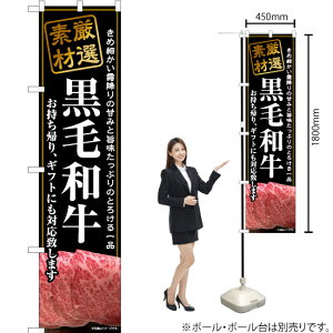 јaA X}[ĝڂ YNS-6805i󒍐YiELZsj