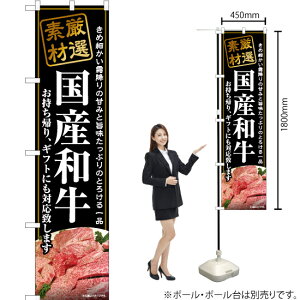 YaB X}[ĝڂ YNS-6806i󒍐YiELZsj