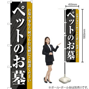 ybĝ X}[ĝڂ YNS-6891i󒍐YiELZsj