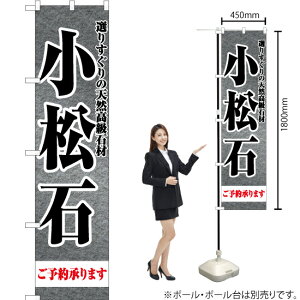 ΁@΍ X}[ĝڂ YNS-6894i󒍐YiELZsj