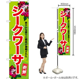 V[N[T[ X}[ĝڂ YNS-6941i󒍐YiELZsj