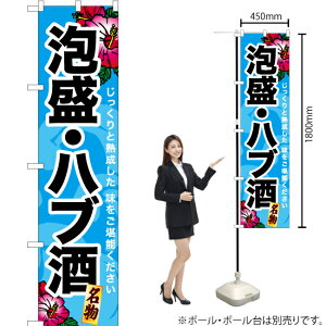 AEnu X}[ĝڂ YNS-6955i󒍐YiELZsj