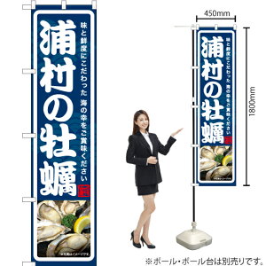 Ỷy X}[ĝڂ YNS-7024i󒍐YiELZsj