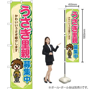 e W X}[ĝڂ YNS-7153i󒍐YiELZsj