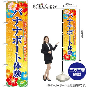 oii{[ǧ X}[ĝڂ YNS-7986i󒍐YiELZsj