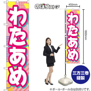 X}[ĝڂ 킽 YNS-8248 i󒍐YiELZsj