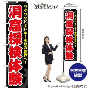 X}[ĝڂ AŤ NNhLhLIm̐EցI ij YNS-8622 i󒍐YiELZsj