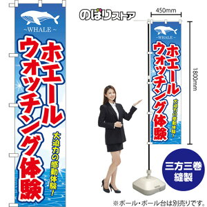 X}[ĝڂ zG[EHb`Ǒ 唗͂̊̌I WHALE ij YNS-8669 i󒍐YiELZsj