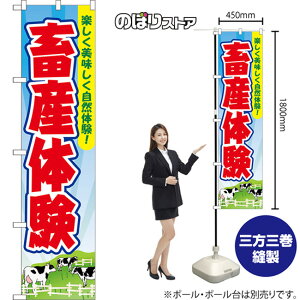 X}[ĝڂ {Y̌ yŘI iFEj YNS-8693 i󒍐YiELZsj