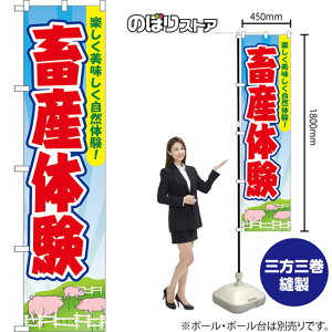 X}[ĝڂ {Y̌ yŘI iFE؁j YNS-8694 i󒍐YiELZsj