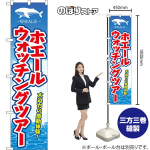 X}[ĝڂ zG[EHb`OcA[ 唗͂̊̌I WHALE ij YNS-8834 i󒍐YiELZsj