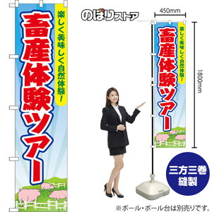 X}[ĝڂ {Y̌cA[ yŘI iFE؁j YNS-8850 i󒍐YiELZsj