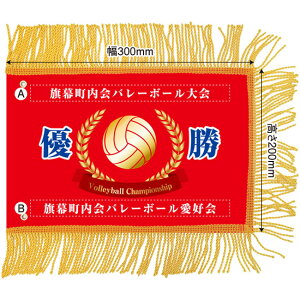 ~jDiꂠjuo[{[vW300×H200mmi󒍐YiELZsj