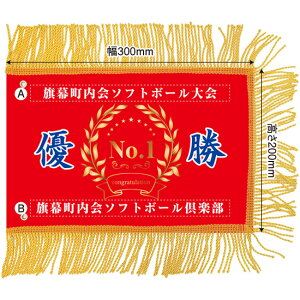 ~jDiꂠjuj 02vW300×H200mmi󒍐YiELZsj