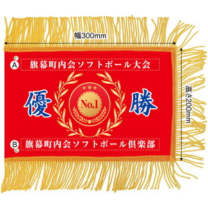 ~jDiꂠjuj 05vW300×H200mmi󒍐YiELZsj