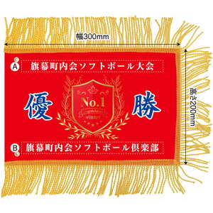 ~jDiꂠjuj 08vW300×H200mmi󒍐YiELZsj