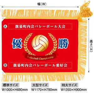 バレーボール 名入れ ホビーの人気商品 通販 価格比較 価格 Com