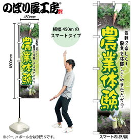 のぼり屋工房 のぼり旗 111760 農業体験 W450×H1800mm 1枚 三方三巻 販促 商売 繁盛 受注生産品