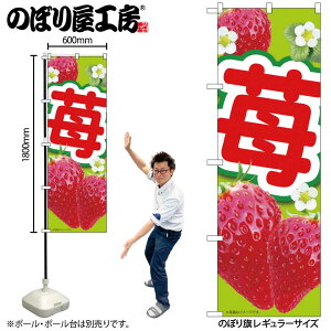 �̂ڂ艮�H�[ �̂ڂ�� 127709 䕉���MTM W600×H1800mm 1�� �O���O�� �̑� ���� �ɐ� �󒍐��Y�i