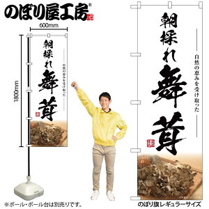 �̂ڂ艮�H�[ �̂ڂ�� 131796 �������̂� W600×H1800mm 1�� �O���O�� �̑� ���� �ɐ� �󒍐��Y�i