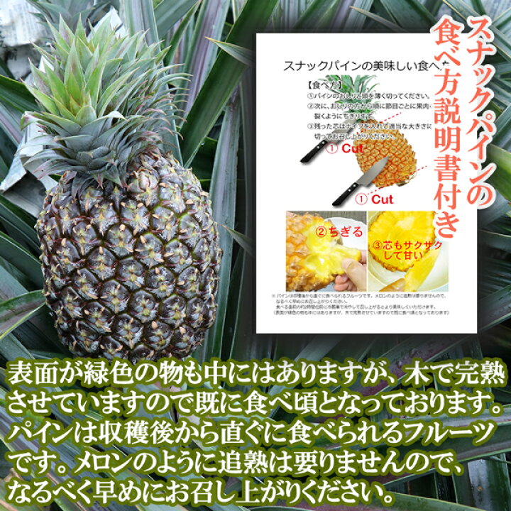 楽天市場 お中元 御中元 スナックパイン Lサイズ 約2kg 約1kg 2玉 ボゴール パイン ギフト プレゼント お取り寄せ フルーツ 沖縄県産 送料無料 ちぎって食べる パイナップル パインアップル 大玉 贈答用 内祝 内祝い 果物 ふるさと 産直 期間限定 夏 旬 食べ頃