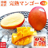 沖縄県 完熟 マンゴー 大玉 約2kg(4〜6玉) 夏 くだもの フルーツ 贈り物 お中元 ギフト プレゼント お取…