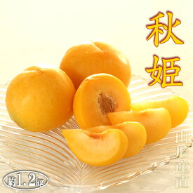 ＼ 敬老の日 ギフト ／ プラム 黄色 山形県 すもも 秋姫 約1.2kg 11〜14玉 プレミアムプラム 甘い 贈答 プレゼント スモモ 送料無料 お取り寄せ グルメ ふるさと 産直 高級 フルーツ 内祝い 内祝 お彼岸 お供え 御供 果物 果実 くだもの 誕生日 お礼 残暑見舞い