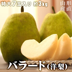_10/12܂ŌGi^ R` m uo[hv tX  5L×7  3kg Y Gi miV mȂ Mtg v[g j  O H { v~A ӂ邳 