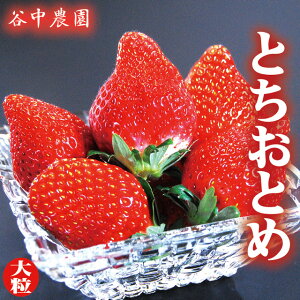 _oג^  Ȗؑ\uh ƂƂ 270g×4pbN  Mtg o^C Xgx[  O  x Ât[c ʕ  蕨  i