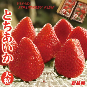 _oג^ Ȗ، Vuh Ƃ 280g×2pbN x Ε Ε  嗱 C`S v~A   O v[g Mtg x  a j 