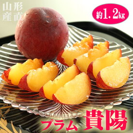 プラム 貴陽 特大玉(6玉) 大玉(7玉) 中大玉(8玉) 約1.2kg すもも 李 山形 送料無料 高糖度 スモモ お中元 お取り寄せ グルメ プレミアム ふるさと 産直 高級 果物 くだもの 果実 フルーツ ギフト プレゼント 贈答 贈答用 贈り物 進物 秀品 お盆 初盆 仏壇 お供え 御供 内祝