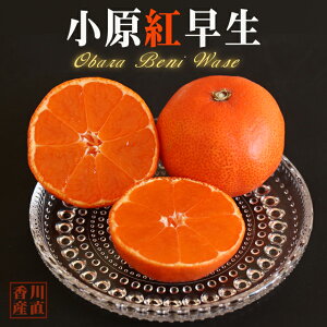 x uh݂ 쌧 g ~J  4.5kg 2S`3L Ε Mtg N N  O i ӂ邳 Yn   k k ʕ  