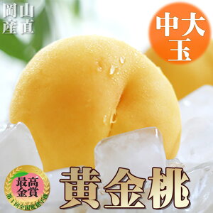 R  S[fs[` _Iׂ^ʁ`(1.2kg`1.5kgj  hV̓ ފ  t[c ʕ  Mtg  F  Hו  v[g   