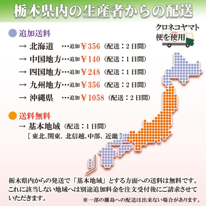 楽天市場】梨 豊水 5kg (約) 送料無料 大玉 5L(約500g)×10個 お取り寄せ グルメ なし ナシ 和梨 栃木産 ふるさと 産直 果物 くだもの フルーツ ギフト 内祝い 内祝 お供え 御供 贈答用 贈答品 赤梨 秀品 贈り物 誕生日 プレゼント 旬 残暑見舞い 楽天市場】梨 豊水 5kg (約) 送料無料 大玉 5L(約500g)×10個 お取り寄せ グルメ なし ナシ 和梨 栃木産 ふるさと 産直 果物 くだもの フルーツ ギフト 内祝い 内祝 お供え 御供 贈答用 贈答品 赤梨 秀品 贈り物 誕生日 プレゼント 旬 残暑見舞い