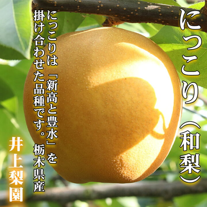 楽天市場】梨 にっこり 超大玉(1kg)×2玉 約2kg 送料無料 数量限定 なし ナシ 栃木産 おとりよせ お取り寄せ 取寄せ とりよせ お歳暮 高級 果物 くだもの フルーツ ギフト 贈答用 贈答品 和梨 特秀 秀品 贈り物 プレゼント 旬 お土産 高糖度 食べ物 生 内祝 楽天市場】梨 にっこり 超大玉(1kg)×2玉 約2kg 送料無料 数量限定 なし ナシ 栃木産 おとりよせ お取り寄せ 取寄せ とりよせ お歳暮 高級 果物 くだもの フルーツ ギフト 贈答用 贈答品 和梨 特秀 秀品 贈り物 プレゼント 旬 お土産 高糖度 食べ物 生 内祝