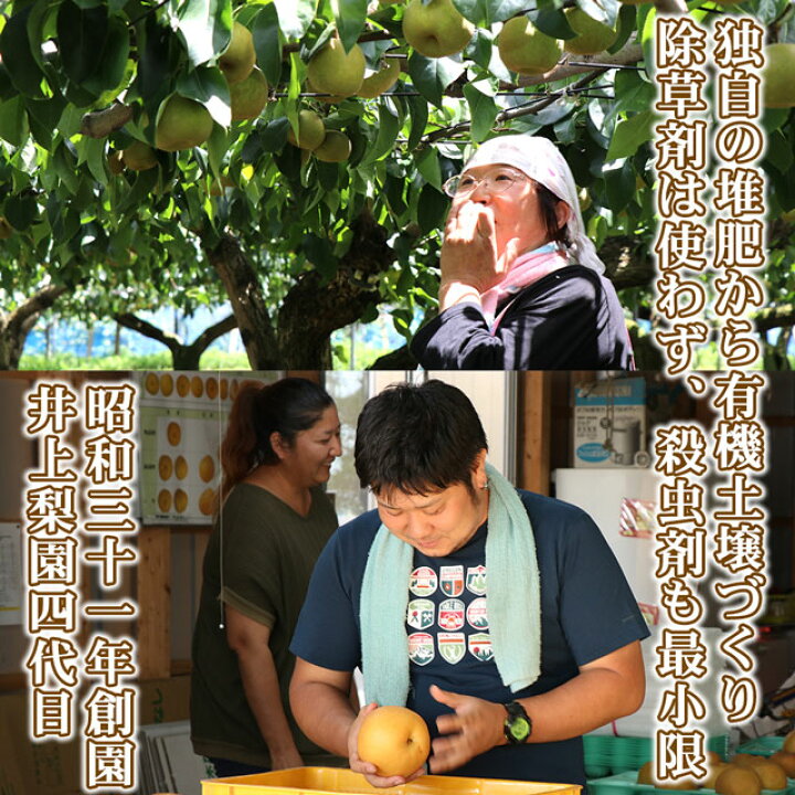 楽天市場】梨 豊水 5kg (約) 送料無料 大玉 5L(約500g)×10個 お取り寄せ グルメ なし ナシ 和梨 栃木産 ふるさと 産直 果物 くだもの フルーツ ギフト 内祝い 内祝 お供え 御供 贈答用 贈答品 赤梨 秀品 贈り物 誕生日 プレゼント 旬 残暑見舞い 楽天市場】梨 豊水 5kg (約) 送料無料 大玉 5L(約500g)×10個 お取り寄せ グルメ なし ナシ 和梨 栃木産 ふるさと 産直 果物 くだもの フルーツ ギフト 内祝い 内祝 お供え 御供 贈答用 贈答品 赤梨 秀品 贈り物 誕生日 プレゼント 旬 残暑見舞い