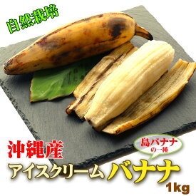 1年中楽しめる 自然栽培 沖縄県 島バナナ アイスクリームバナナ 約1kg 父の日 ギフト 個包装 高級 バナナ お返し 箱 くだもの フルーツ ギフト 贈り物 お中元 プレゼント お取り寄せグルメ お供え 御供 ふるさと 産直 皮ごと 高糖度 果物 誕生日 贈答 特選 国産 送料無料