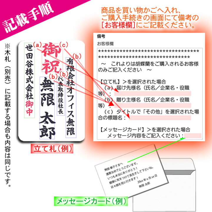 楽天市場 胡蝶蘭 2本立ち ミディ 18輪以上 開店祝い 花 白 蘭 送料無料 開店 開店御祝 出店 新店 就任 祝い お祝い 御祝 祝 周年 移転 移転祝い 開業祝い 開院祝い 新築祝い お供え 御供 初盆 新盆 昇進 退職 誕生日 フラワー
