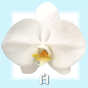 y͂zӒ5{~fB60ֈȏ̓jԃMtgACjJXjVzJƏoXVXړ]ACjJXړ]jJƏjԌjjjjJ@jVzj