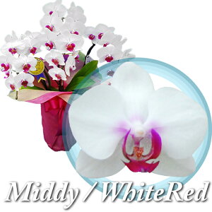 y͂zӒ ~fB 3{  27ֈȏ Mtg j JXj ACj ړ]j    JƏj J@j AC ړ] a v[g Ď N j 蕨 JX J J