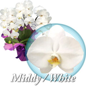 y͂zӒ ~fB 3{  27ֈȏ Mtg j JXj ACj ړ]j    JƏj J@j AC ړ] a v[g Ď N j 蕨 JX J J