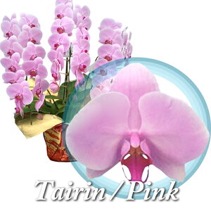 y͂ z Ӓ 3{   40ֈȏ D t AC j  JXj ړ]j JƏj j Mtg  J@j JXj JXj ACj a i @ ~ 