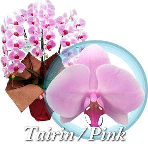 y͂z Ӓ 3{  41ֈȏ  ACj JXj ړ]j JƏj J@j  I M j j j j Vzj Mtg Nj wZ  v[g  A